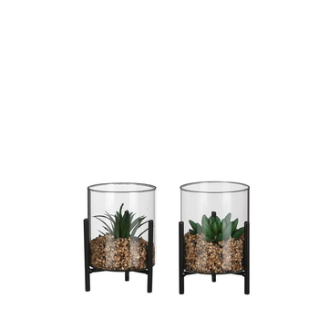 Visuel 1 du produit Succulente artificielle vert foncÃ© en pot transparent sur pied - Ã˜ 10,5 x H 13 cm