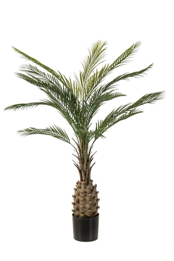 Visuel 1 du produit Palmier artificiel vert résistant aux UV - Ø 90 x H 150 cm