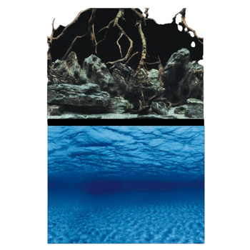 Visuel 1 du produit Poster 2-en-1 racine/fond marins AQUA NOVA - modèle Roots/Water L - 100x50 cm