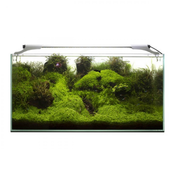 Visuel 1 du produit Rampe LED pour aquarium, jour & nuit, blanche 10W - AQUAEL Leddy Slim Sunny 2.0