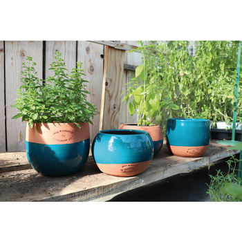 Visuel 1 du produit Pot Aromates de 1,2 L en terre émaillée bicolore Ø 13 x 10 cm