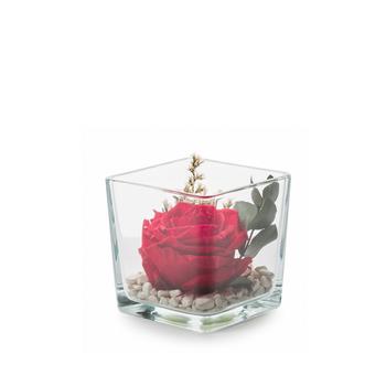Visuel 1 du produit Verrine carrée de végétaux stabilisés rose rouge et eucalyptus Naturalys Genova 10 - 10 x 10 x 10 cm