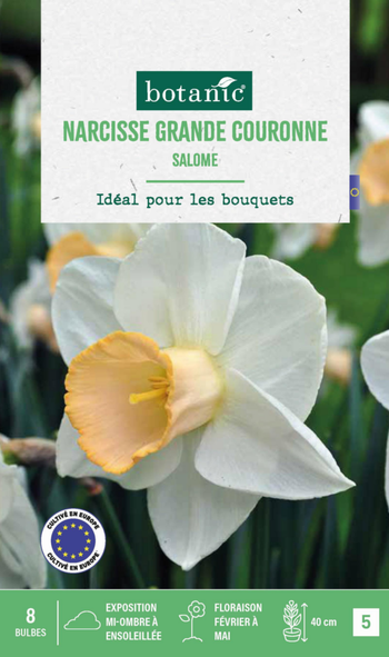 Visuel 1 du produit Narcisse salome botanic® - 8 bulbes