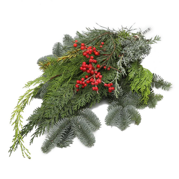 Visuel 1 du produit Bouquet de conifères mix avec ilex coloris vert - 5 tiges