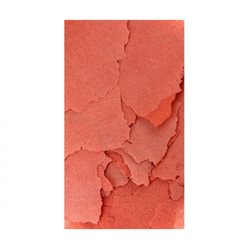 Visuel 1 du produit Prime Reef Flakes, qualité premium - OCEAN NUTRITION - 154g