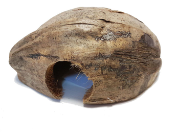 Visuel 1 du produit Noix de coco pour terrarium coloris marron Reptile Planet Coco Casa
