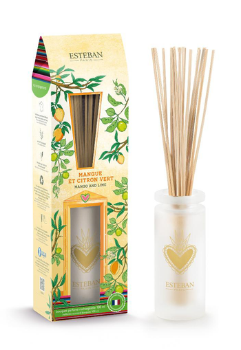 Visuel 1 du produit Bouquet parfumé avec sa recharge senteur mangue et citron vert Esteban - 100 ml