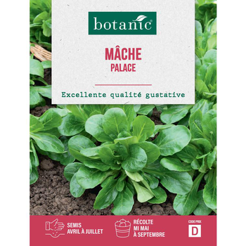 Visuel 1 du produit Graines de mâche palace botanic® - graines à semer