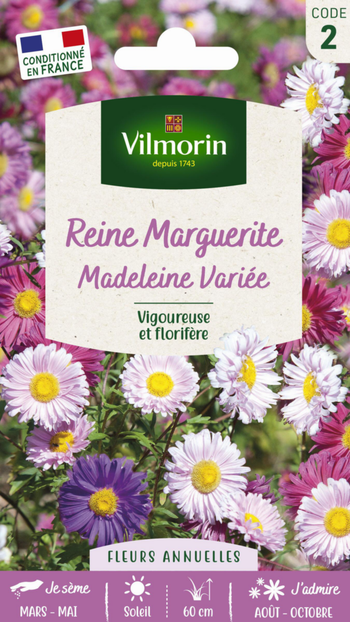 Visuel 1 du produit Graines de Reine Marguerite Madeleine variée Vilmorin - graines à semer