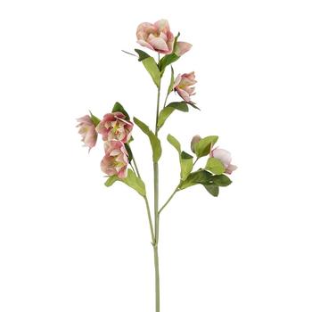 Visuel 1 du produit Tige artificielle d’hellébore en polyester rose - 80 cm