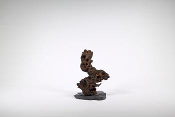 Visuel 1 du produit Décoration pour aquarium Aquadeco Congo Tree petit modèle - 20 cm