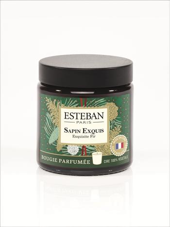 Visuel 1 du produit Bougie parfumée en cire végétale Sapin exquis Pommadier Estéban - 90 g