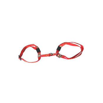 Visuel 1 du produit Harnais chat 35/50cm motif 10mm