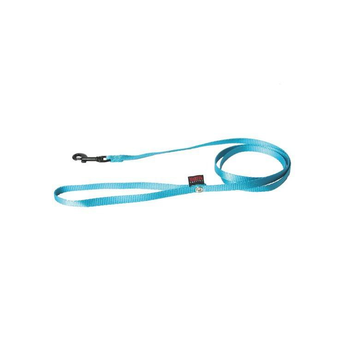 Visuel 1 du produit Laisse chien nylon 10 mm / 120 cm bleu