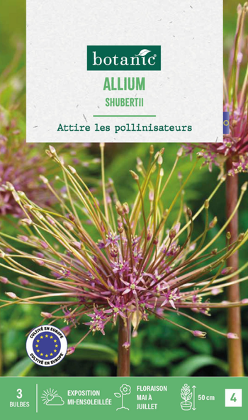 Visuel 1 du produit Allium shubertii en mélange botanic® - 3 bulbes