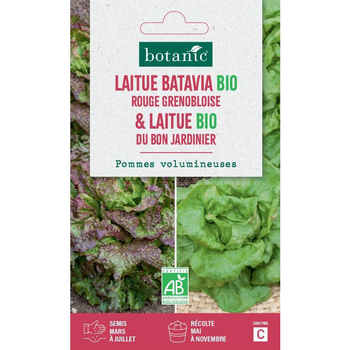 Visuel 1 du produit Graines de laitue bio bat. rouge grenobl. bio + bon jardinier botanic® - graines bio semer