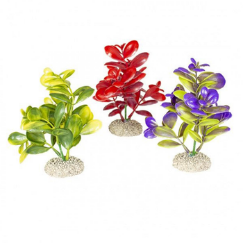 Visuel 1 du produit Plante artificielle crassula, divers coloris, AQUA DELLA, modèle M - 16cm