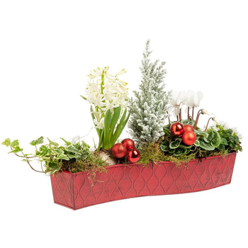 Visuel 1 du produit Composition de Noël Chemin de Table 40 cm - La coupe en zinc