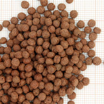 Visuel 1 du produit Nourriture d'été pour koïs de petite taille JBL Propond Summer - 1 kg