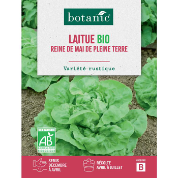 Visuel 1 du produit Graines de laitue reine de Mai de pleine terre bio botanic® - graines à semer