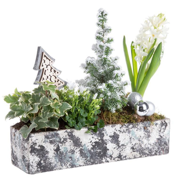 Visuel 1 du produit Jardinière Aquarelle pour centre de table Sonnendrucker - 20 cm