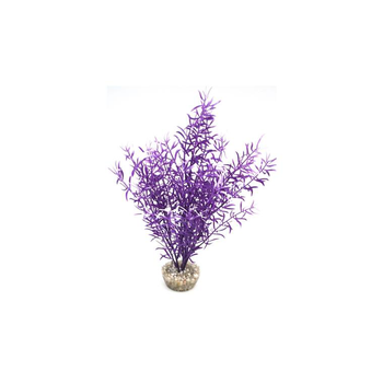 Visuel 1 du produit Sprengeri haut violet en plastique 26 cm