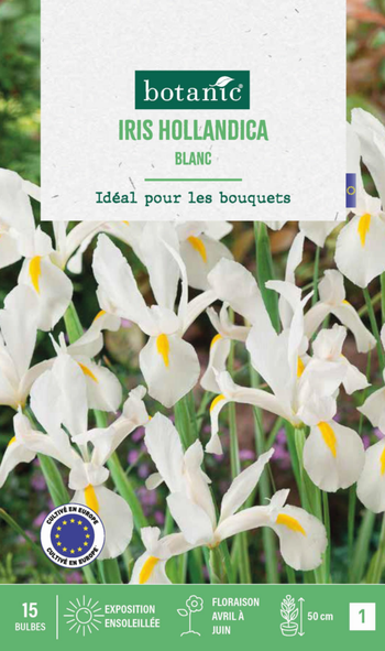 Visuel 1 du produit Iris hollande coloris blanc botanic® - 15 bulbes