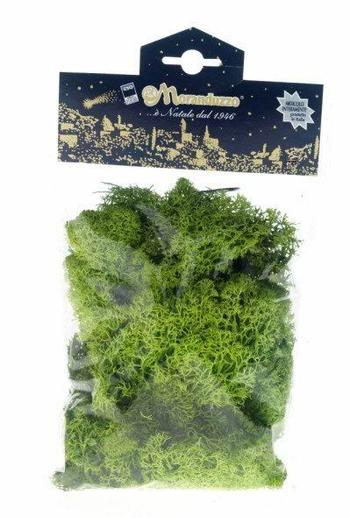 Visuel 1 du produit Lichen pour crèche coloris vert - 50 g