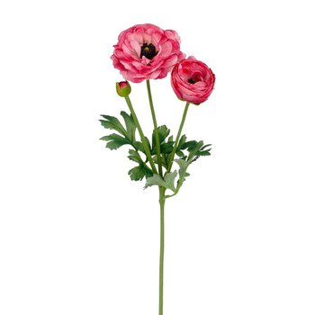 Visuel 1 du produit Tige de renoncule artificielle en plastique recyclé rose - 53 cm