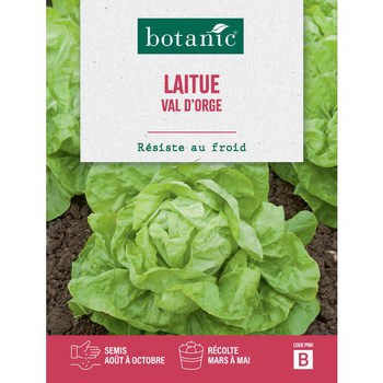 Visuel 1 du produit Graines de laitue val d'orge botanic® - graines à semer