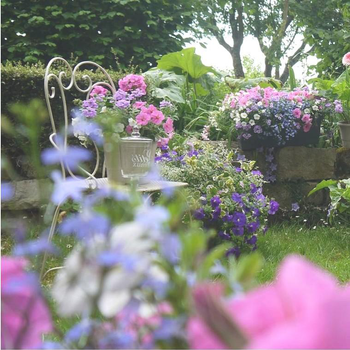 Visuel 1 du produit Thème Romantique - Le pot de 12 cm