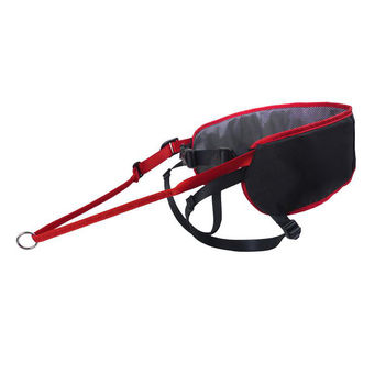 Visuel 1 du produit Baudrier Ludus Performance Taille 2 Mesure des hanches 95-120 cm Noir