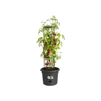 Visuel 1 du produit Pot de culture à tomate green basics de 10 L coloris noir Ø 33 x 25 cm