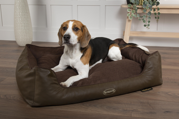 Visuel 1 du produit Corbeille à mémoire de forme pour chien marron Hilton Scruffs – Taille M