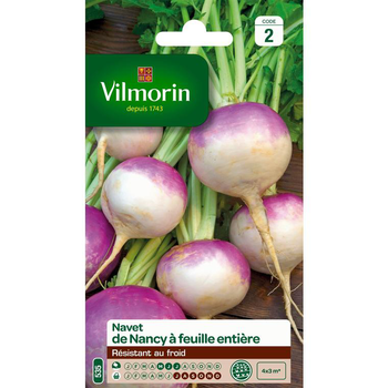 Visuel 1 du produit Graines de navet de Nancy Vilmorin - graines à semer