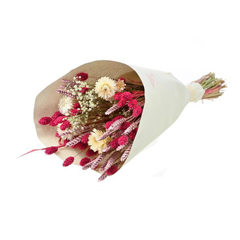 Visuel 1 du produit Bouquet de fleurs séchées Naturalys Trendy rose - Ø 25/30 x H 50 cm