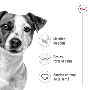 Visuel 2 du produit Croquette pour chien adulte de petite taille Royal Canin - 4 kg