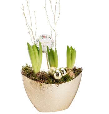 Visuel 1 du produit Composition de 3 Jacinthes blanches. La jardinière 20 x 9 cm en forme de pagode dorée.