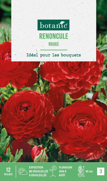 Visuel 1 du produit Renoncule coloris rouge botanic® - 12 bulbes