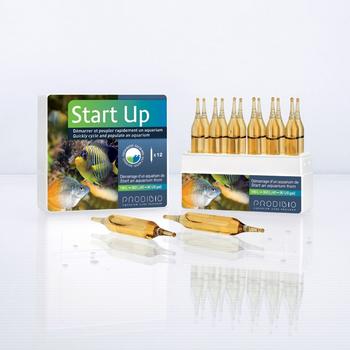 Visuel 1 du produit Boîte d'ampoules Prodibio Start'Up - x 12