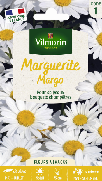 Visuel 1 du produit Graines de Marguerite Margo Vilmorin - graines à semer