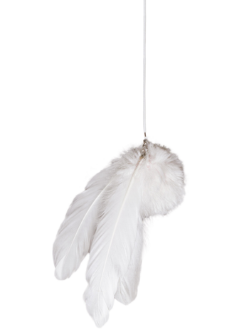Visuel 1 du produit Jouet à plumes pour chat coloris blanc Petrebels Funky Rebels