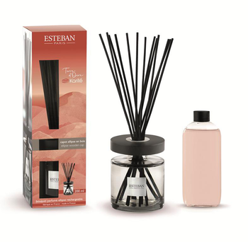 Visuel 1 du produit Bouquet parfumé ellipse avec sa recharge senteur terre d'ocre karité Esteban - 200 ml