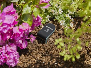 Visuel 1 du produit Programmation de jardin Smart Sensor coloris noir Gardena