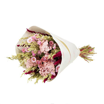 Visuel 1 du produit Bouquet de fleurs séchées Naturalys Dandy rose - Ø 25/30 x H 50 cm