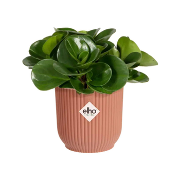 Visuel 1 du produit Cache-pot rose poudré Elho Vibes Fold Mini - Ø 7 cm