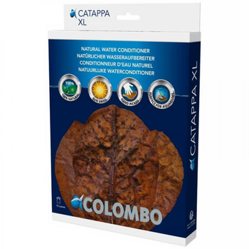 Visuel 1 du produit Feuilles de badamier x10 - Catappa XL - COLOMBO