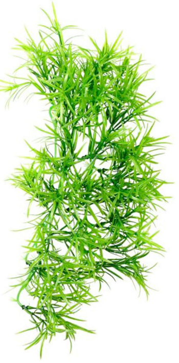 Visuel 1 du produit Plante grimpante artificielle pour terrarium coloris vert Hobby Tropica - Taille 37 cm