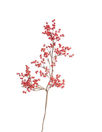 Visuel 1 du produit Branche artificielle de baies rouges - 62 cm
