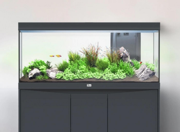 Visuel 1 du produit Aquarium tout équipé, Gris anthracite mat - AQUATLANTIS Volga 200 - 242L